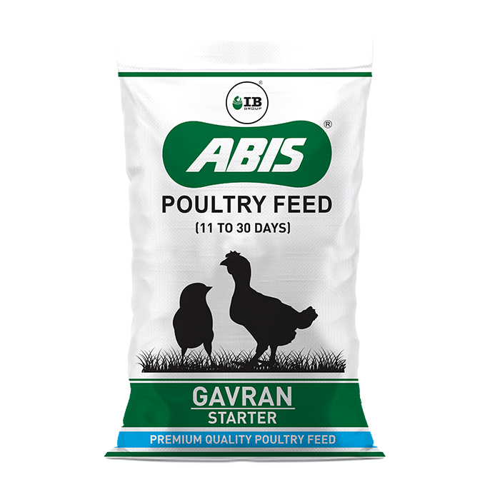 ABIS Gavran Starter